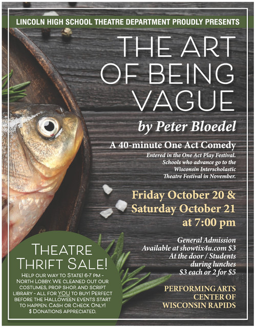 The Art of Being Vague poster